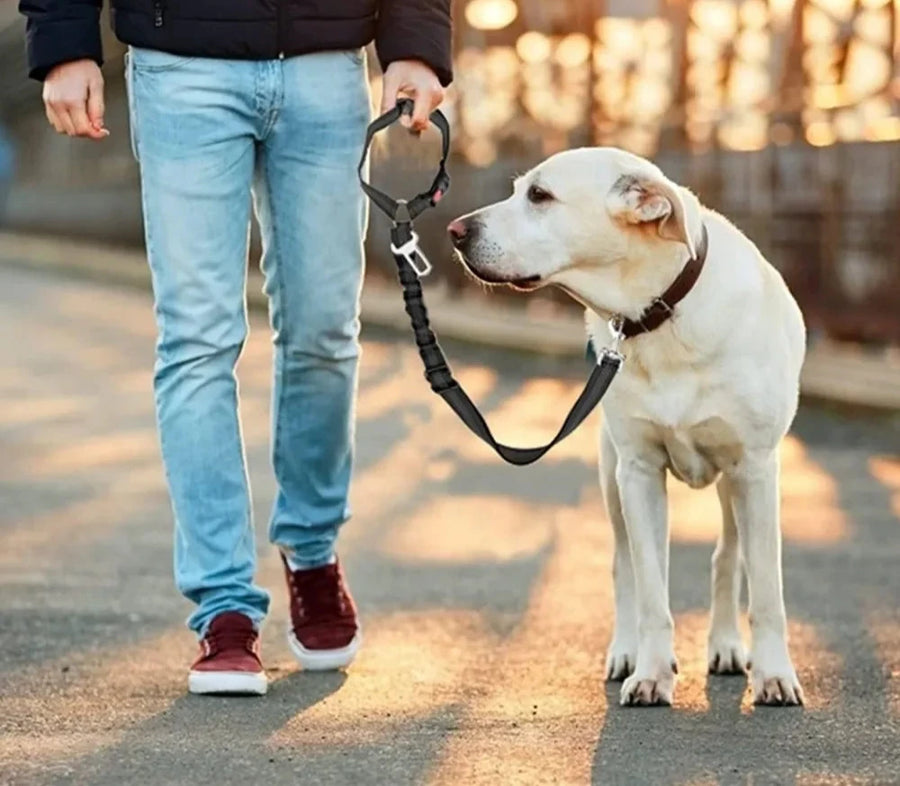 Cinto de Segurança Ajustável para Pets